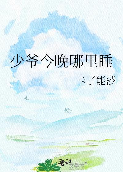 少爷今晚哪里睡卡了能