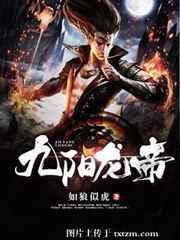 九阳龙主