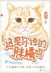 这是你掉的胖橘吗 全文免费阅读
