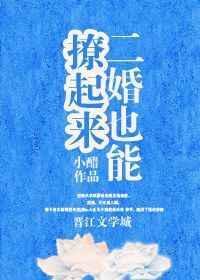 二婚以后