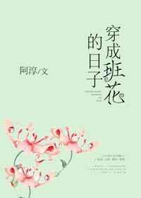穿成班花的日子阿淳
