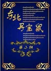 东北寻宝鼠第35章