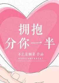拥抱分你一半讲的什么