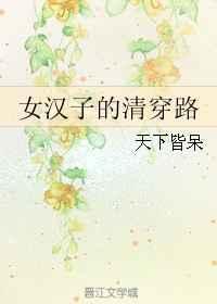 女汉子的清穿路完结