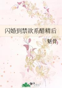 闪婚后被禁欲总裁撩得脸红心跳