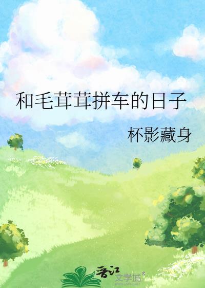 百度和毛茸茸拼车的日子