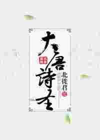大唐诗圣电视剧孕妇第几集