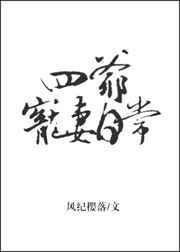四爷宠妃合集
