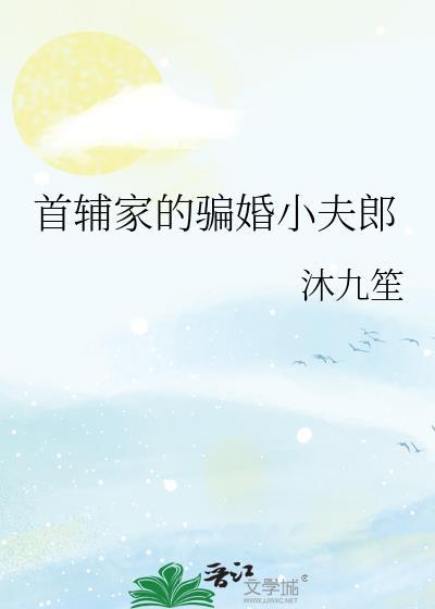 首辅家的骗婚小夫郎by沐九笙TXT