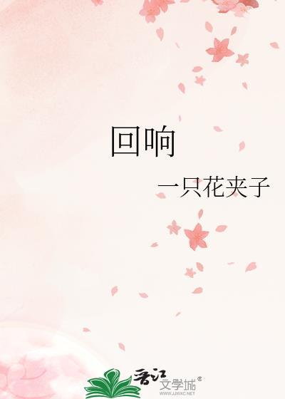 回响电视剧在线观看全集免费播放