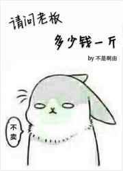 老板多少钱一只