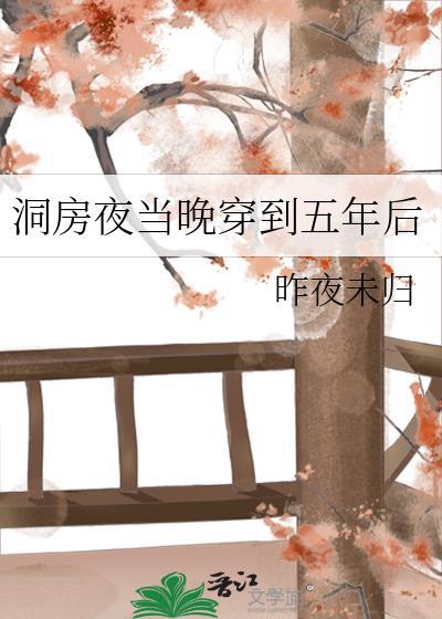 洞房夜当晚穿到五年后TXT