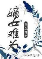再生缘原著