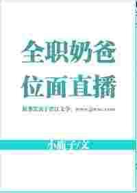 全职奶爸什么意思