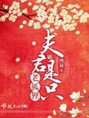 夫君是只狐狸精免费阅读全文