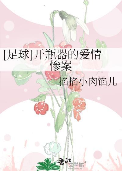 开瓶器是什么意思