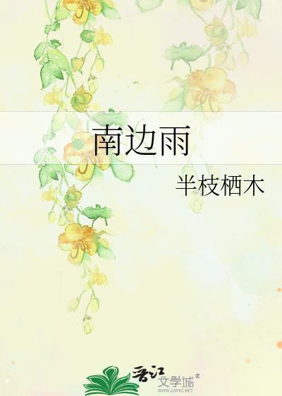 南边雨全本txt