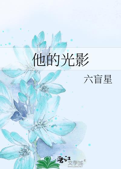他的光影带番外TXT