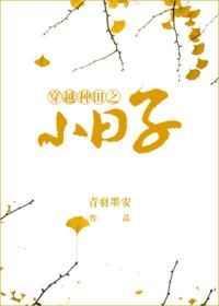 穿越之种田小日子txt书包网