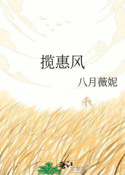 揽惠风百度txt