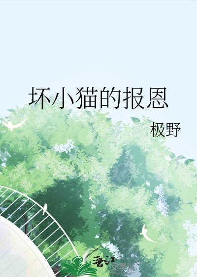 坏小猫的报恩 极野 免费