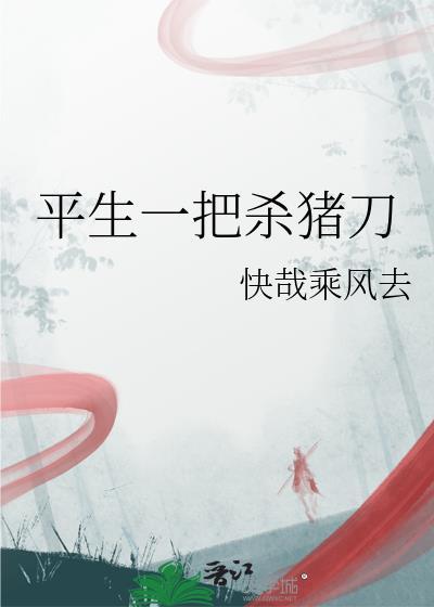一把杀猪刀dj
