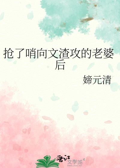 抢了哨向文渣攻的老婆后