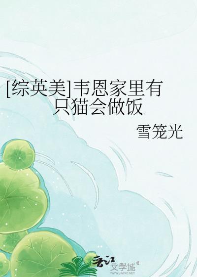 [综英美]韦恩家里有只猫会做饭